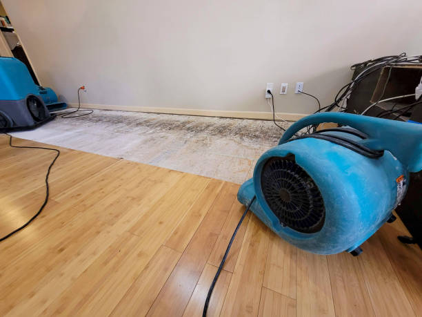 Professional Flood Damage Cleanup technician working in Holly Bluff, MS
